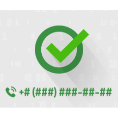 Telephone number validator for Creatio